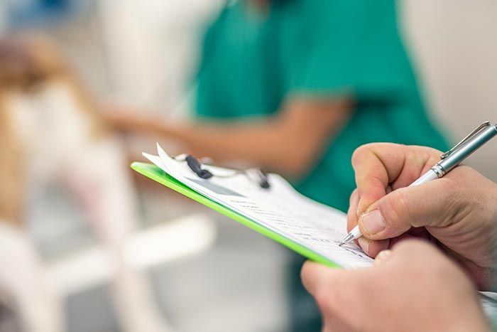 CLÍNICA VETERINARIA ADRIÁN ZAMORA