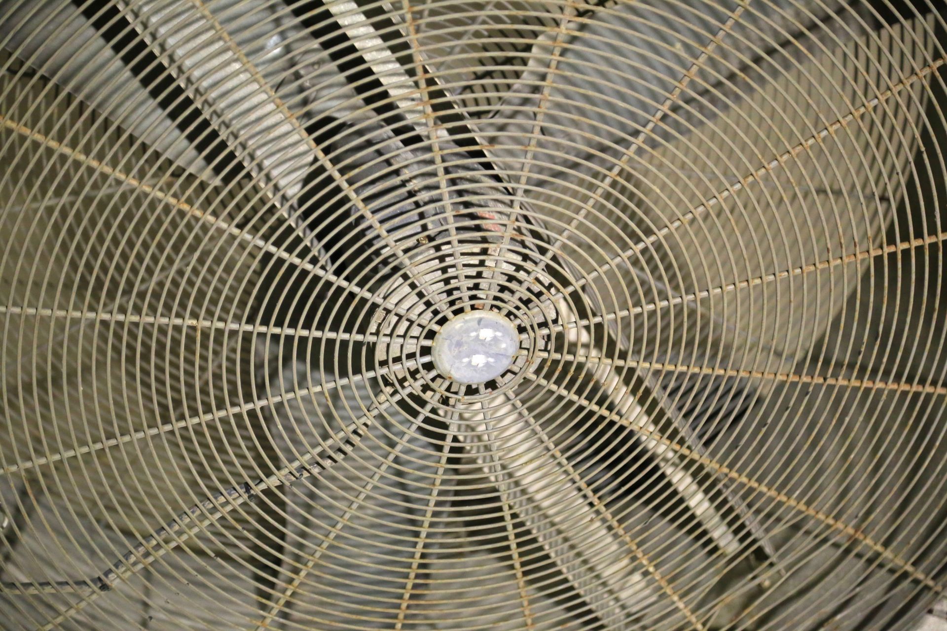 A close up of a fan with a light in the middle