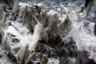 Gros plan sur des fibres d’amiante : des filaments blancs et filandreux sur une surface rocheuse sombre.