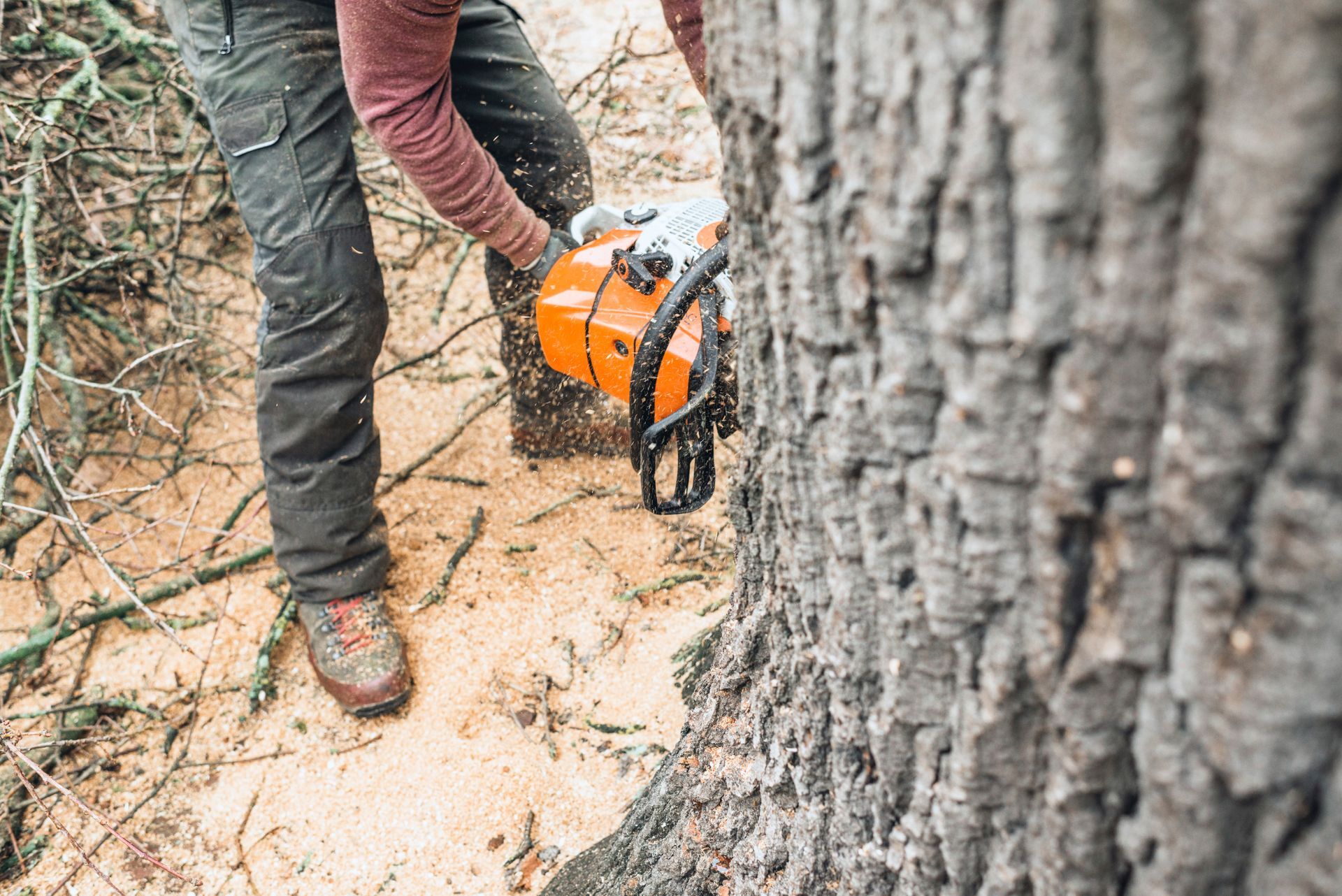 Person using an orange chainsaw to cut a tree trunk outdoors on a dirt slope