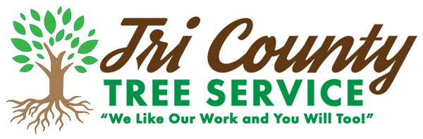 Tri County Tree Service