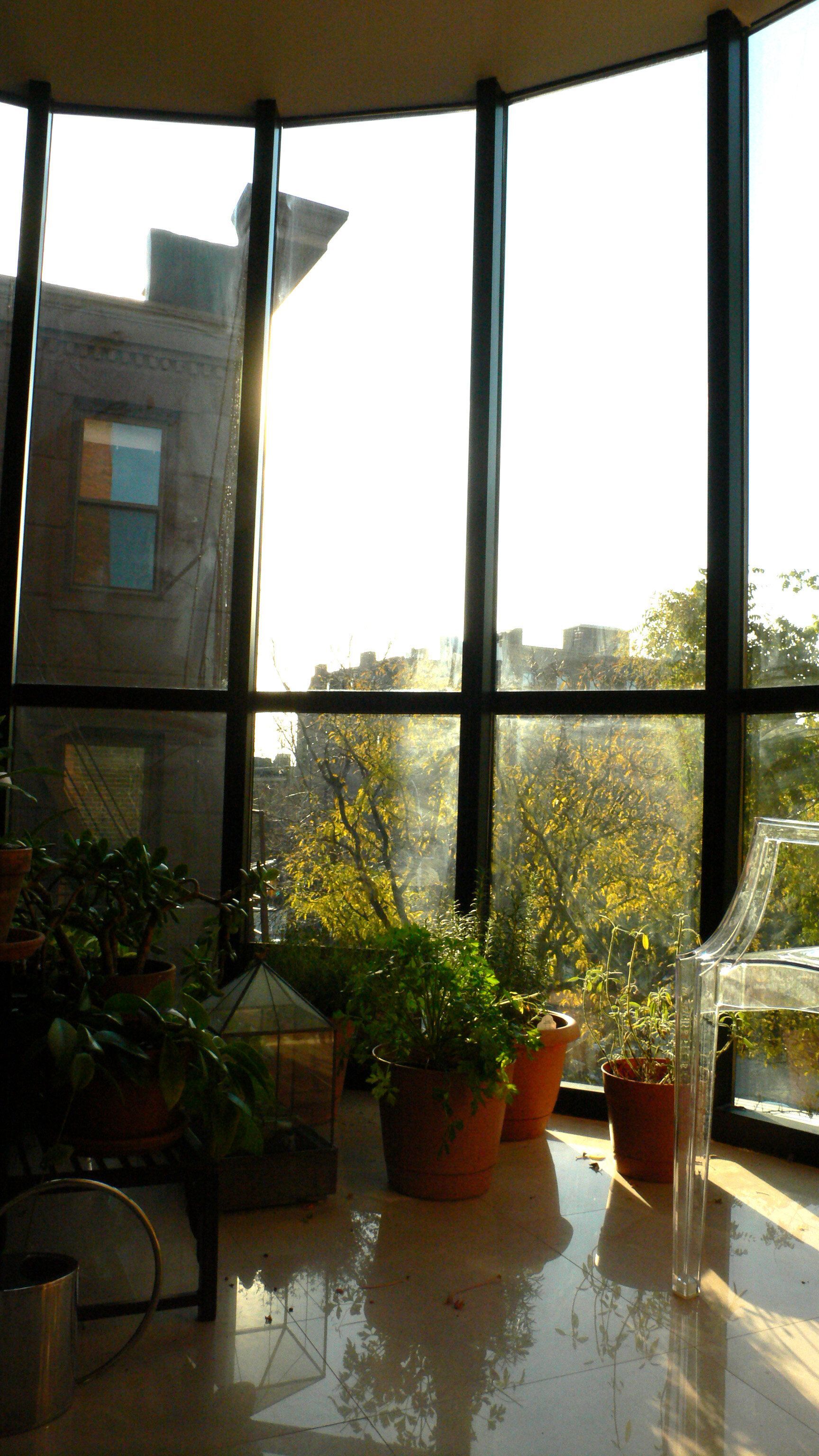 A window with a lot of potted plants in front of it