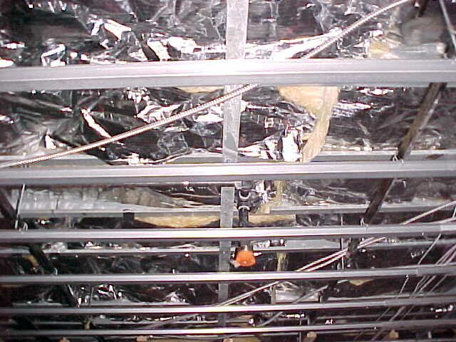 The ceiling of a building with a lot of wires hanging from it.