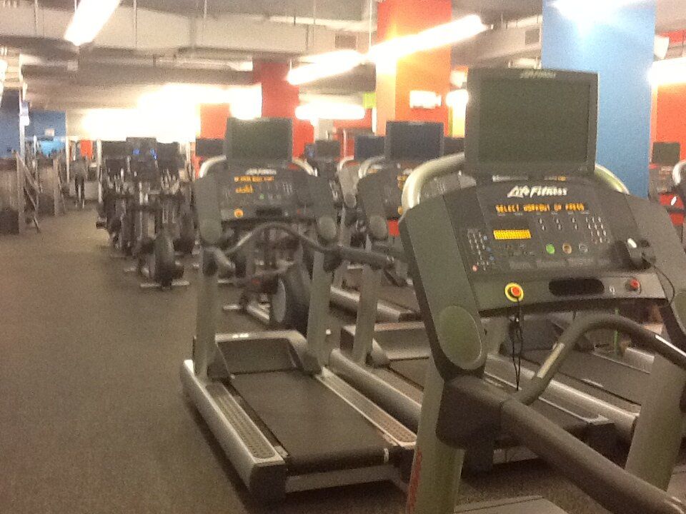 A row of treadmills are lined up in a gym