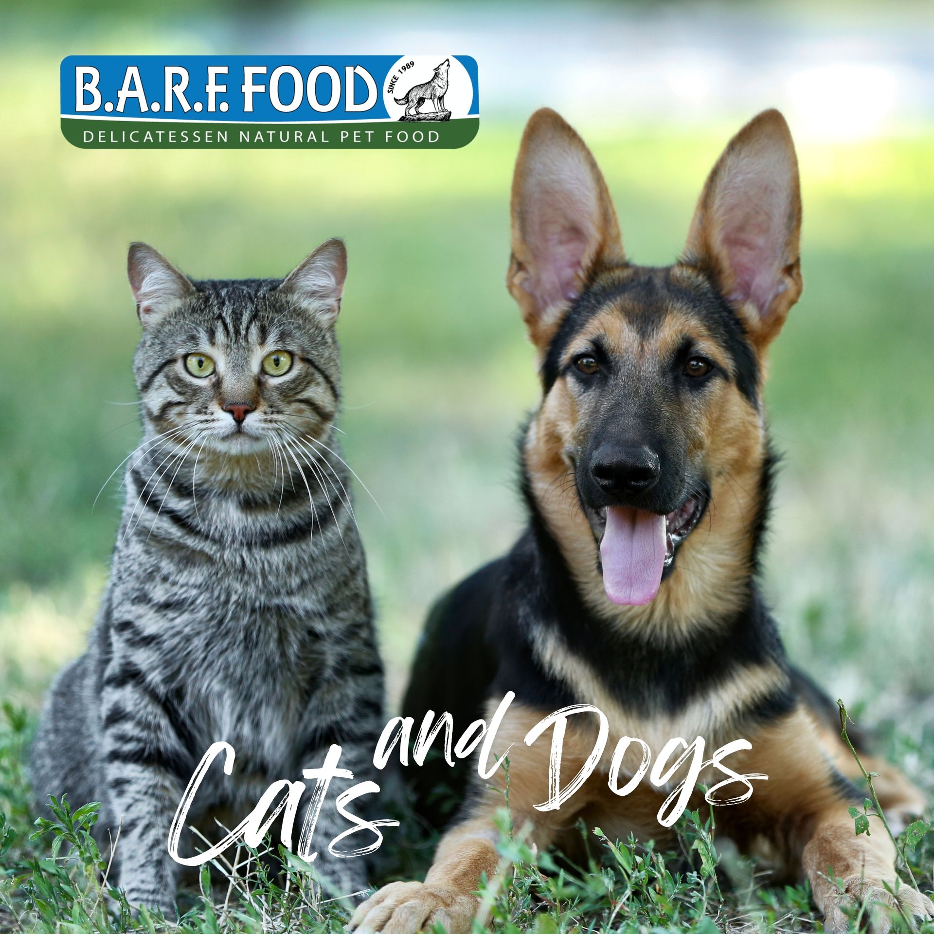 Για Σκύλους & Γάτες