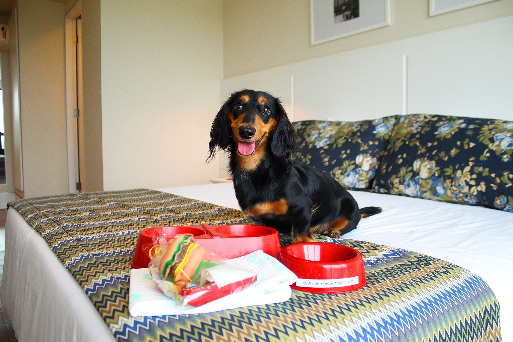 Um cachorro está sentado em uma cama ao lado de uma tigela de comida