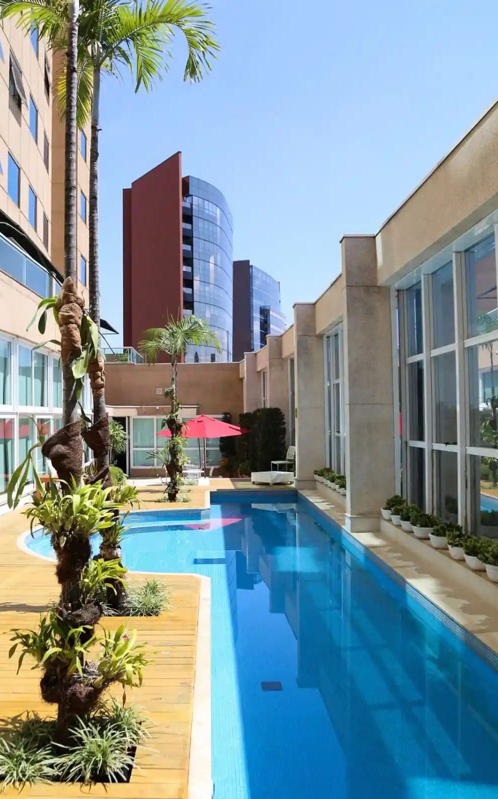 Vista da piscina retangular, rodeada por plantas e edifícios, sob um céu azul.