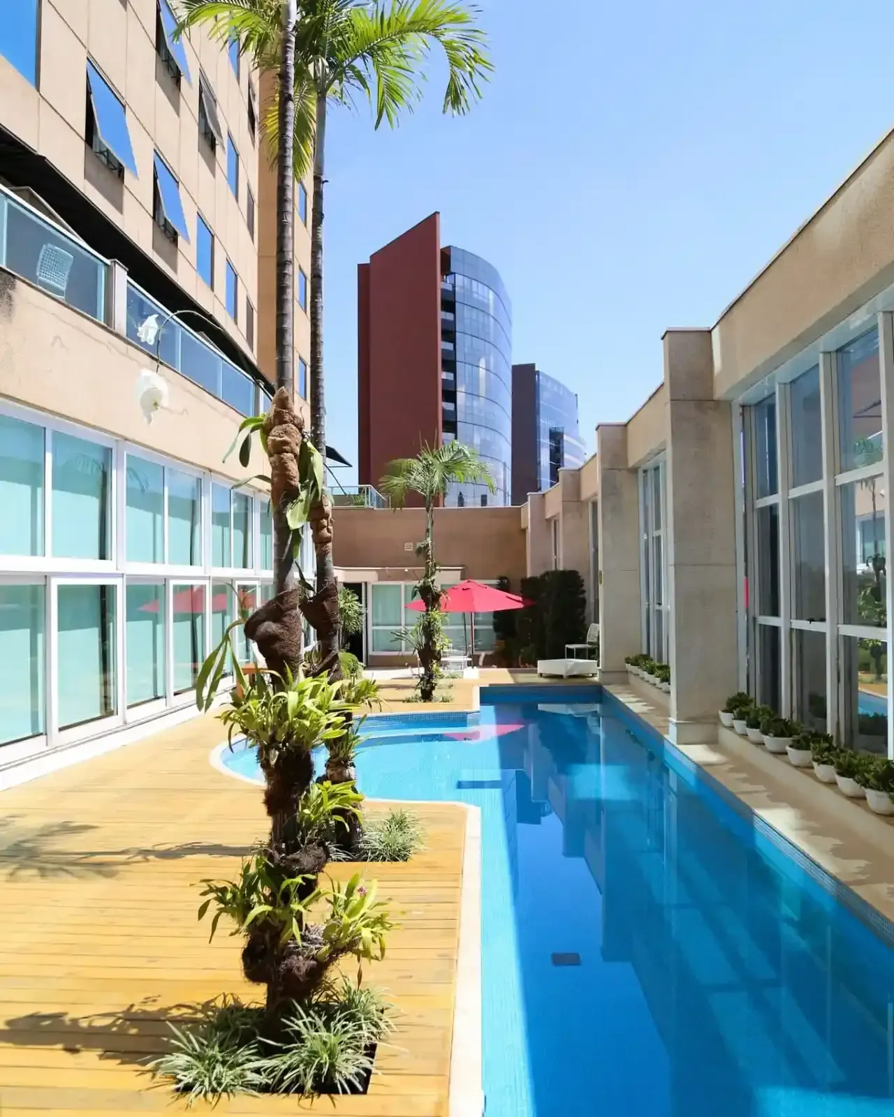 Pátio com piscina azul, deck de madeira, palmeiras e edifícios modernos ao fundo.