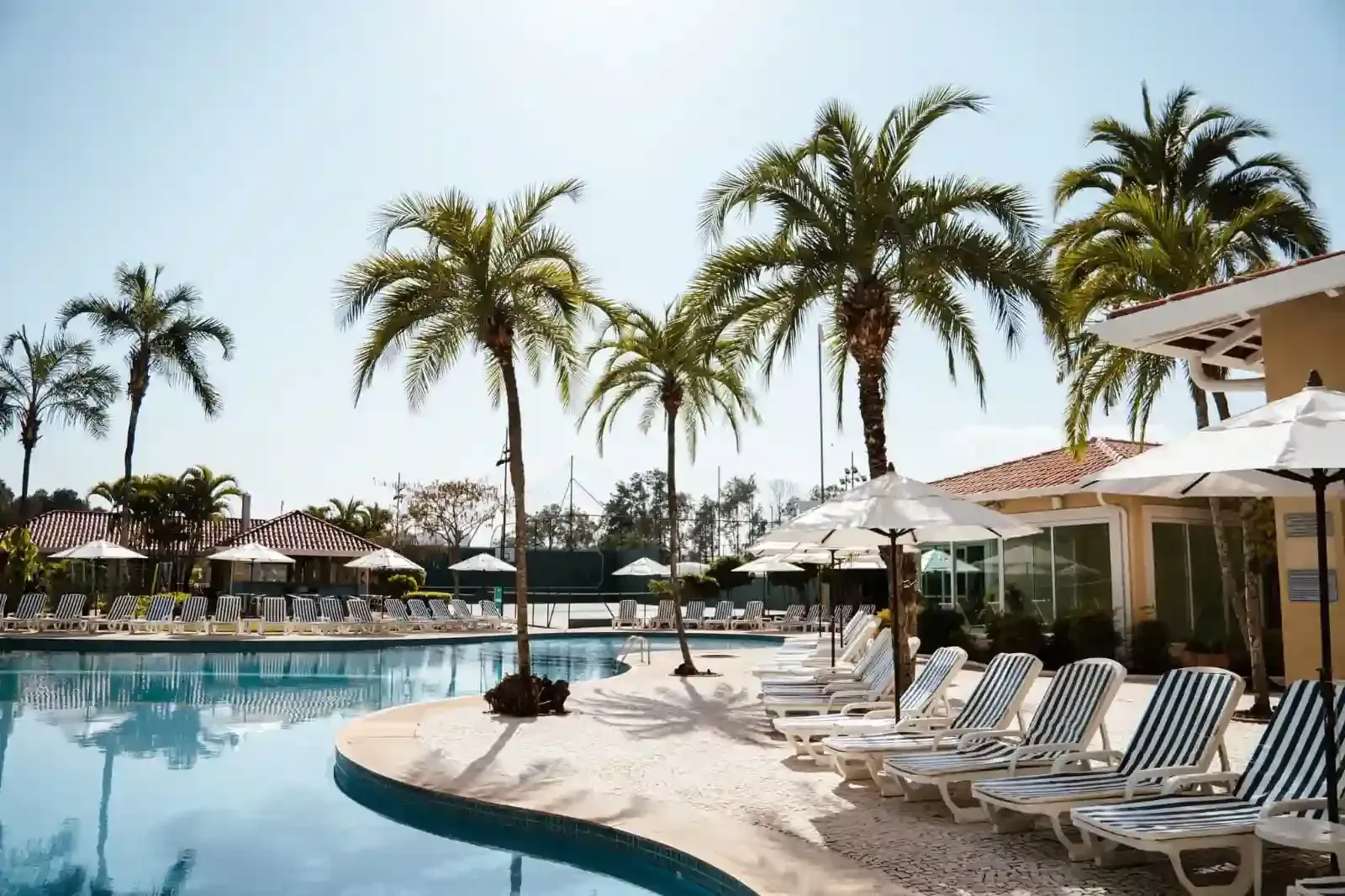 Piscina em um resort com palmeiras, espreguiçadeiras e guarda-sóis sob um céu azul brilhante.