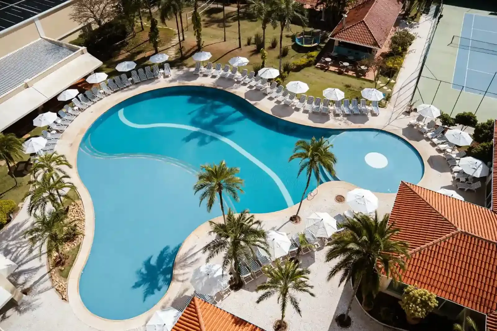 Vista aérea da piscina de um resort com espreguiçadeiras, palmeiras e guarda-sóis.