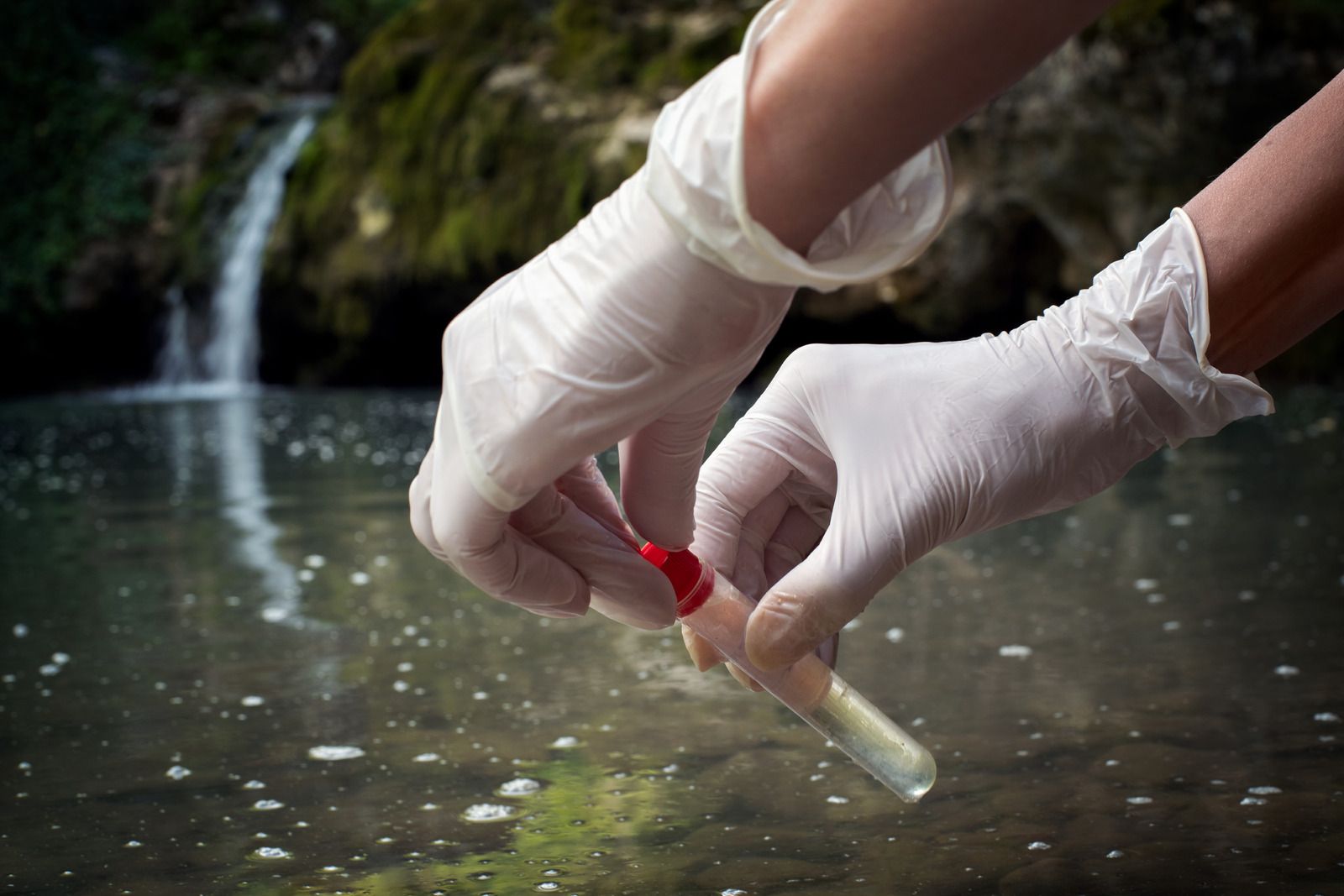 Hands in white gloves collecting a water sample from a stream near a small waterfall.