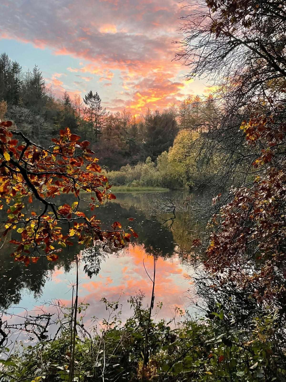 Autumnal sunset reflecting on a still lake, framed by colorful fall foliage and bare trees.