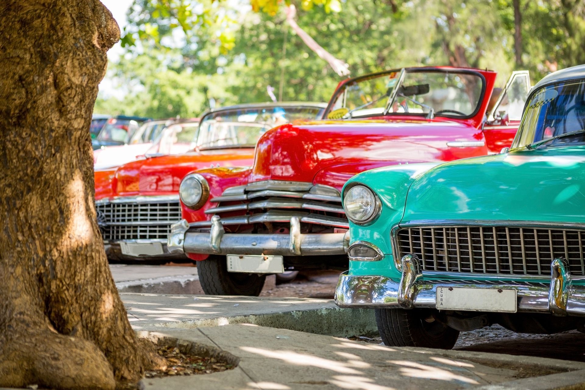 Classic cars, including red and turquoise convertibles, parked in a row near a tree.