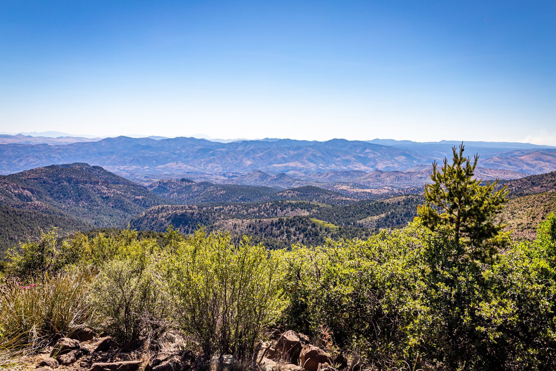 Scenic view from a mountain: green foliage in the foreground, distant mountains, clear blue sky.
