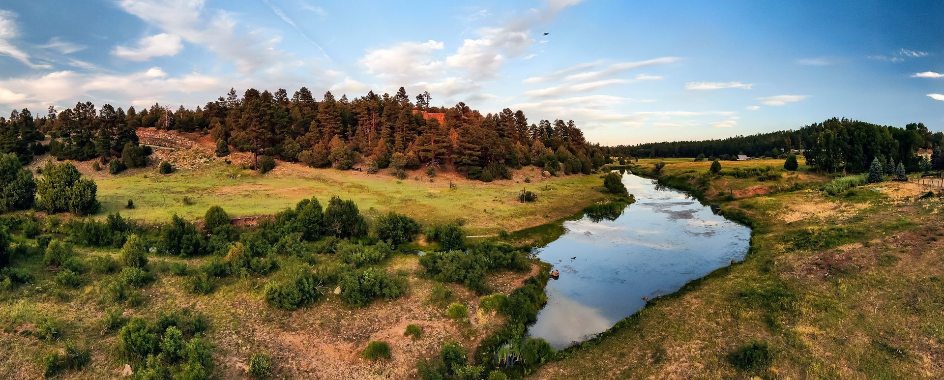 A river winds through a grassy landscape with trees and a blue sky.