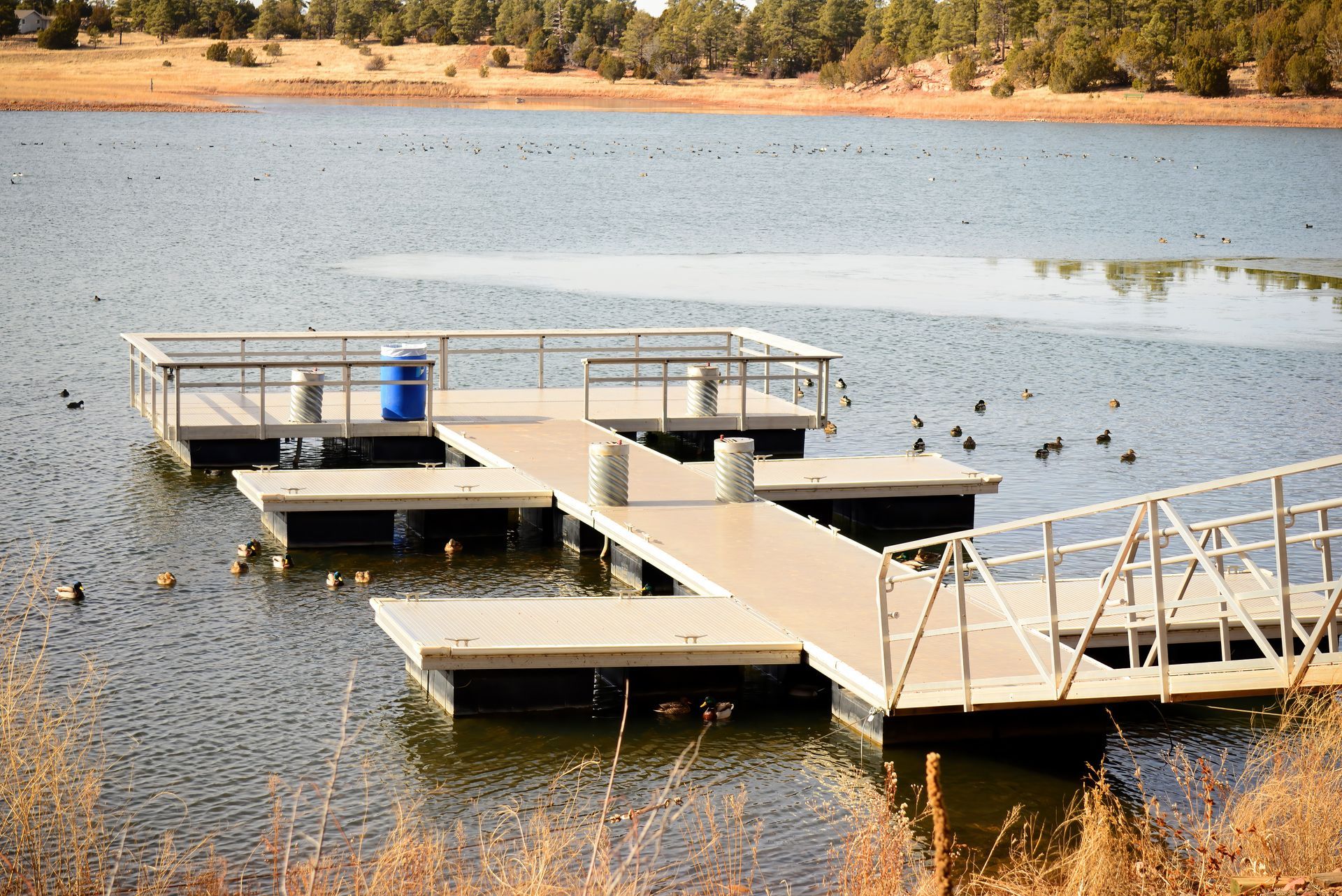 Dock on a lake with a blue trash can, surrounded by calm water. Trees and shoreline in the background.