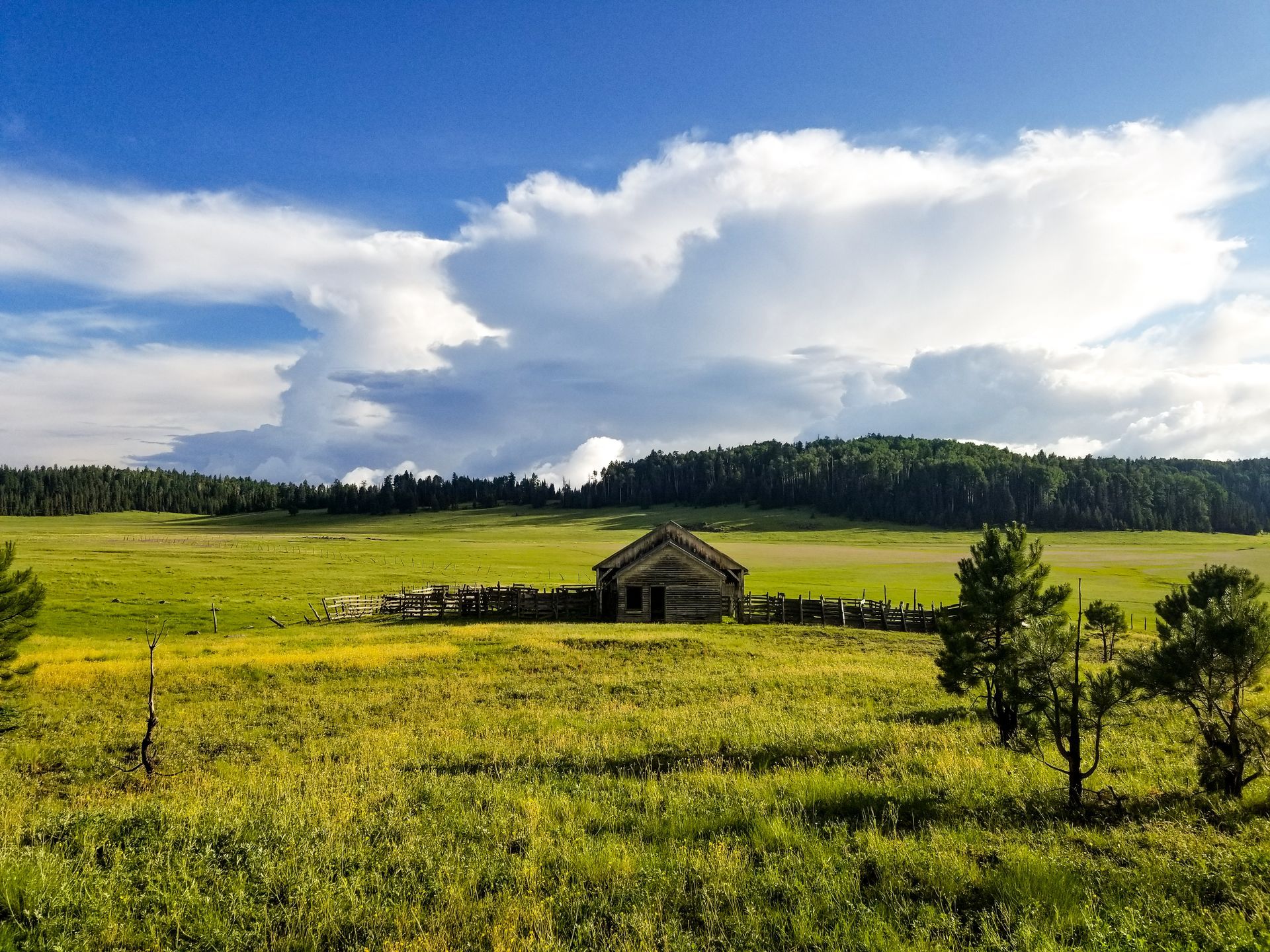 Grassy field with old wooden cabin, surrounded by trees under a cloudy blue sky.