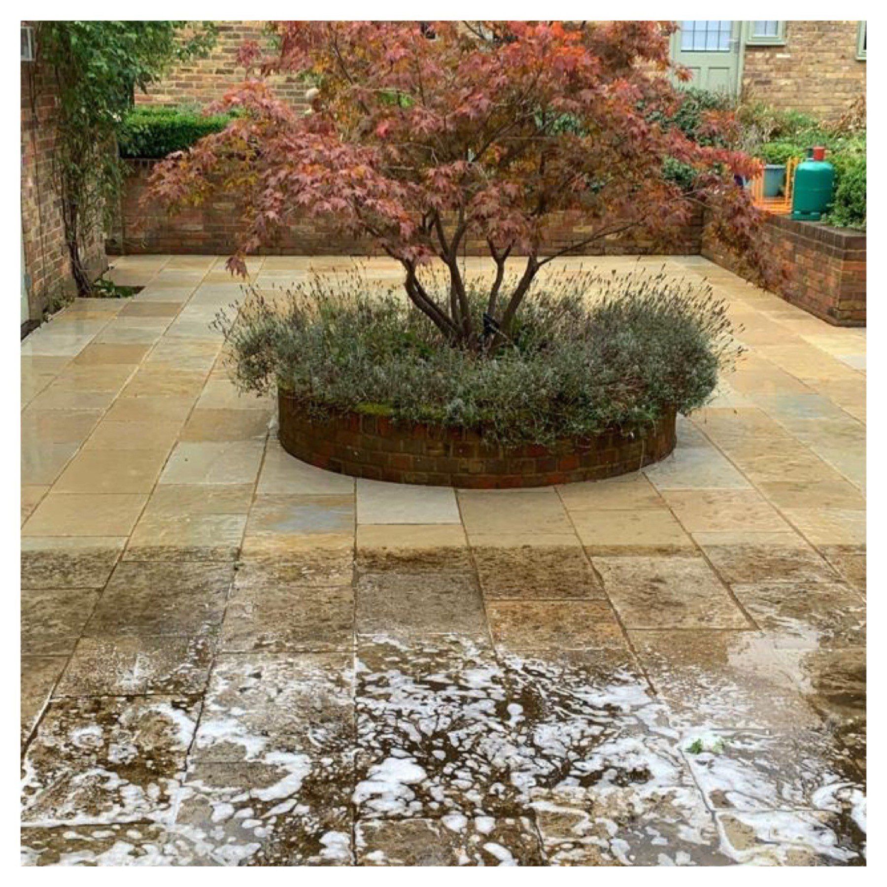 Patio and Driveway Cleaning