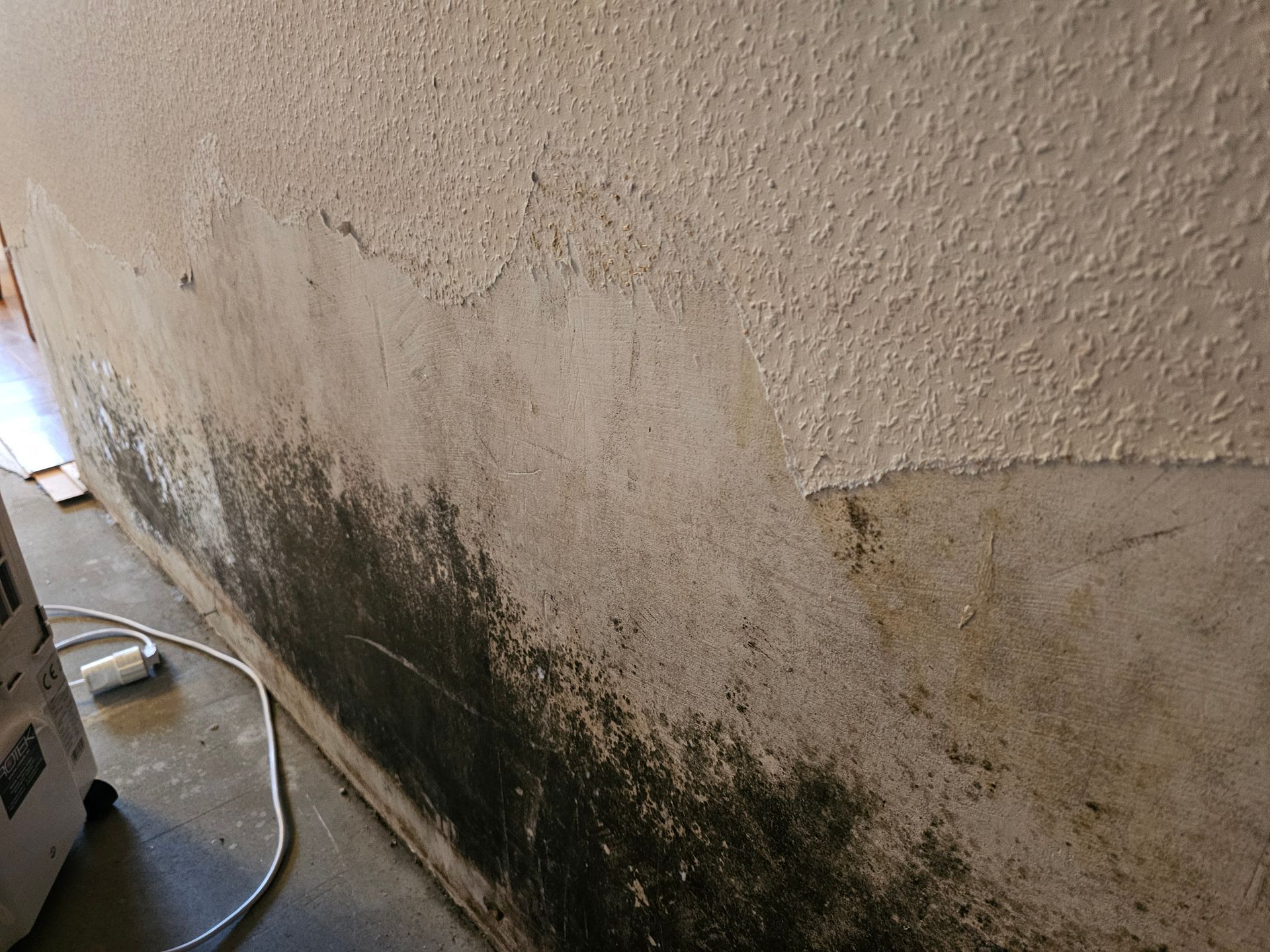 Eine strukturierte Innenwand mit deutlichem Schimmelbefall und abblätternder Farbe in Bodennähe.