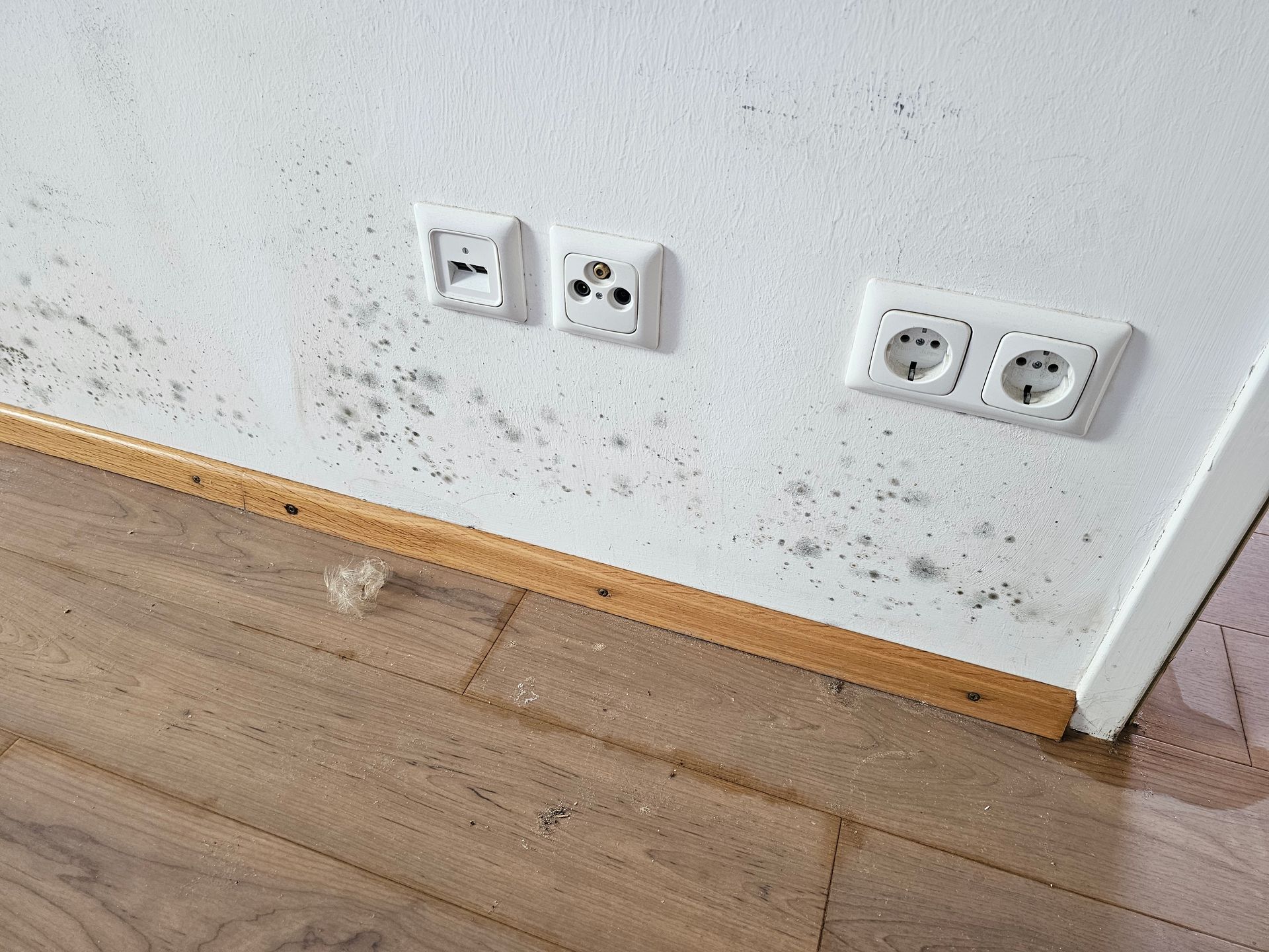 Schwarze Schimmelflecken an einer weißen Wand über einer hölzernen Fußleiste und dem Fußboden in der Nähe mehrerer Steckdosen.