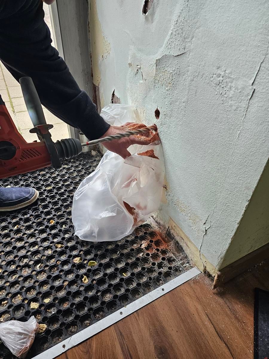 Eine Hand hält einen roten Akkuschrauber und bohrt ein Loch in eine verwitterte Innenwand, während sie den Bohrstaub in einem Plastiksack auffängt.