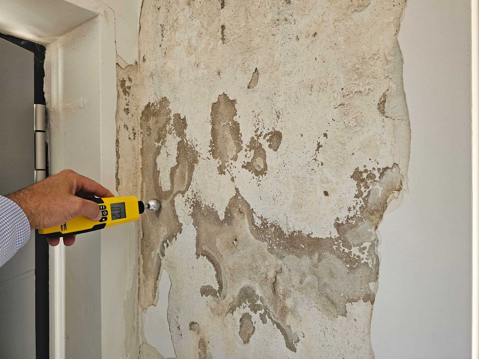 Eine Hand benutzt ein gelbes Feuchtigkeitsmessgerät, um eine Stelle mit beschädigtem, abblätterndem Putz an einer Innenwand zu testen.