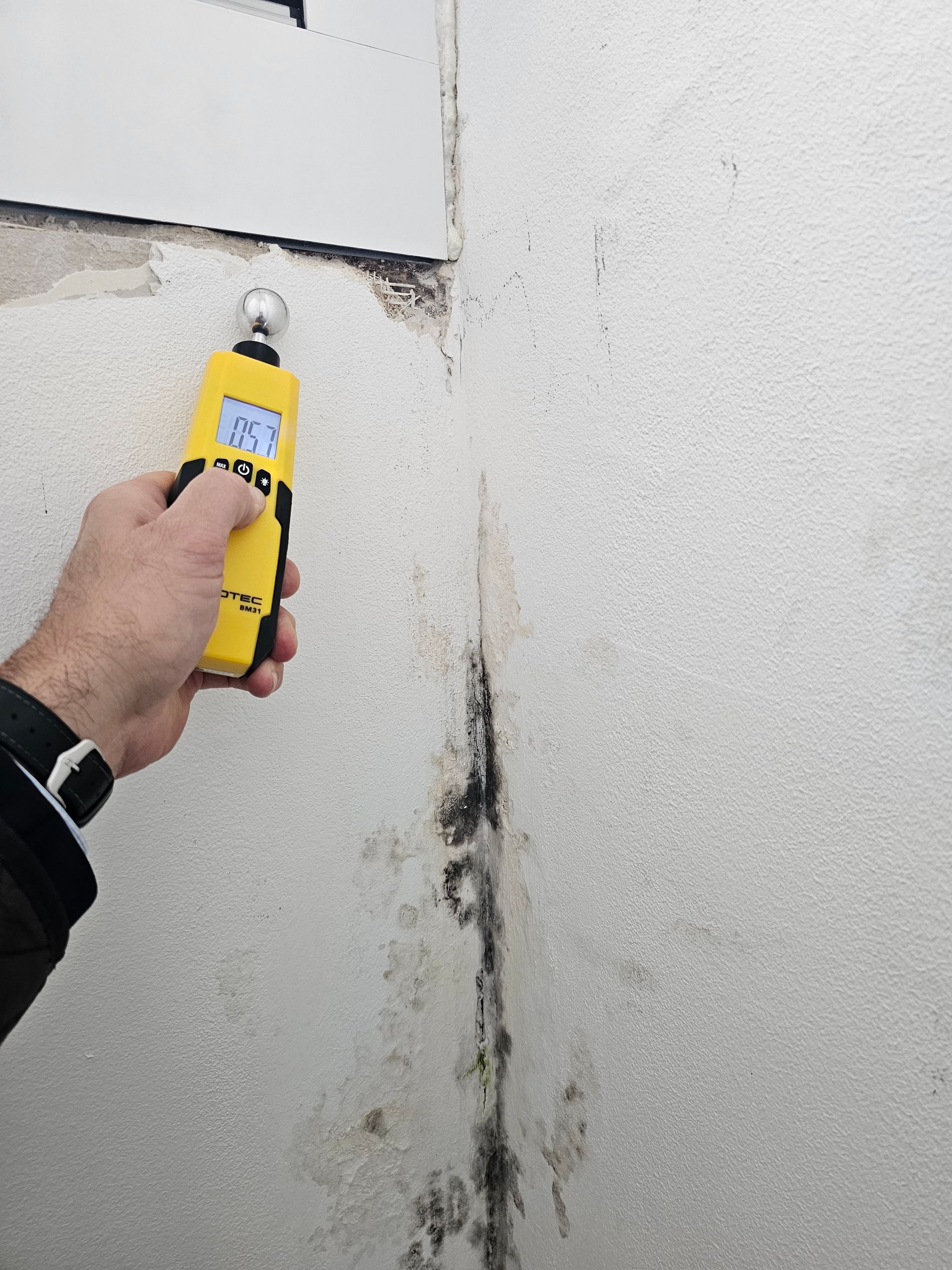 Eine Person hält ein gelbes Feuchtigkeitsmessgerät an eine Ecke einer Wand, die Anzeichen von dunklem Schimmel und Wasserschäden aufweist.
