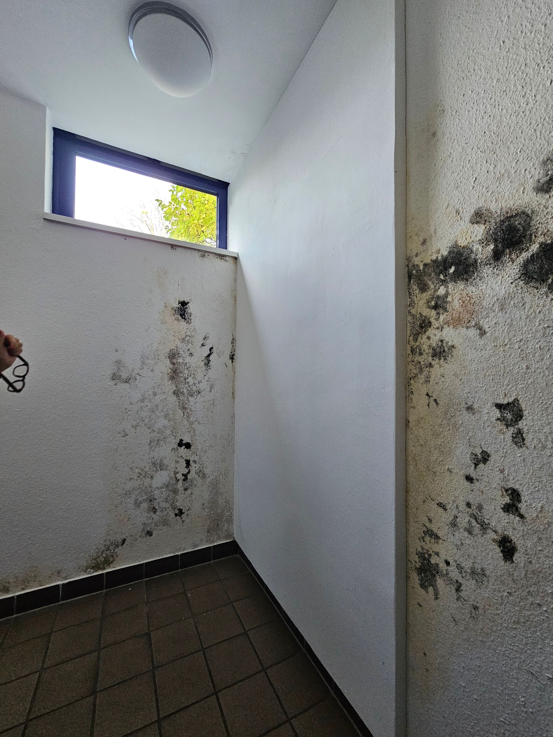 Innenansicht einer Ecke mit gefliestem Boden und weißen Wänden, die stark von schwarzem Schimmel befallen sind, unterhalb eines kleinen Fensters.