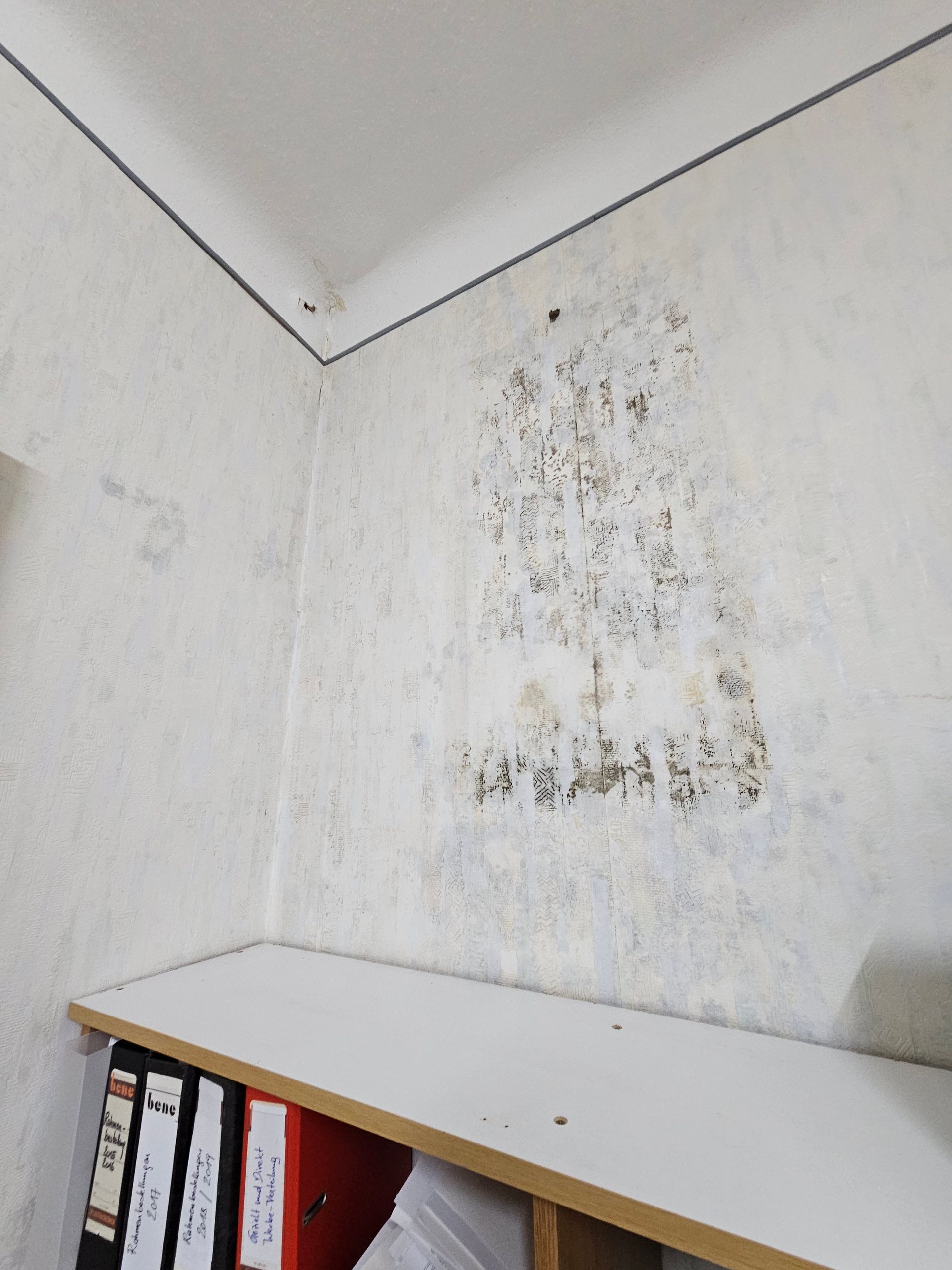 Eine Ecke eines Zimmers mit weißen Wänden, in der über einem Regal mit Ordnern ein auffälliger Fleck dunkler Schimmelbildung oder Wasserschaden zu sehen ist.