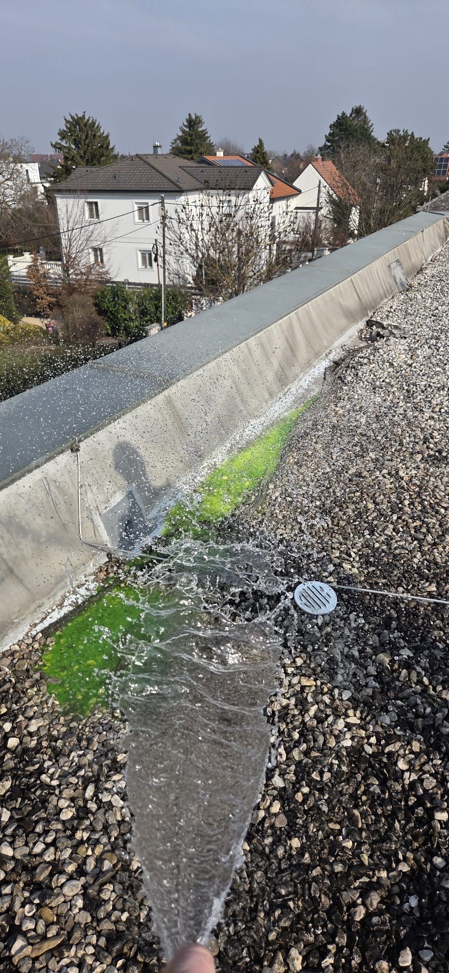 Wasser fließt von einem Dachablauf über Kies und hinterlässt leuchtend grüne Algenflecken an einer Betonwand und den umliegenden Häusern.
