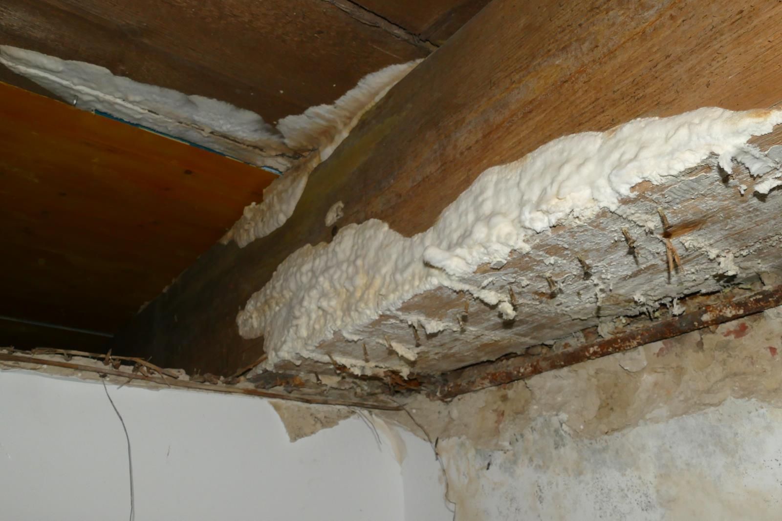 Aufbringen von expandierendem Spritzschaum als Dämmung zwischen einem Holzbalken und einer Fundamentwand aus Stein oder Beton.