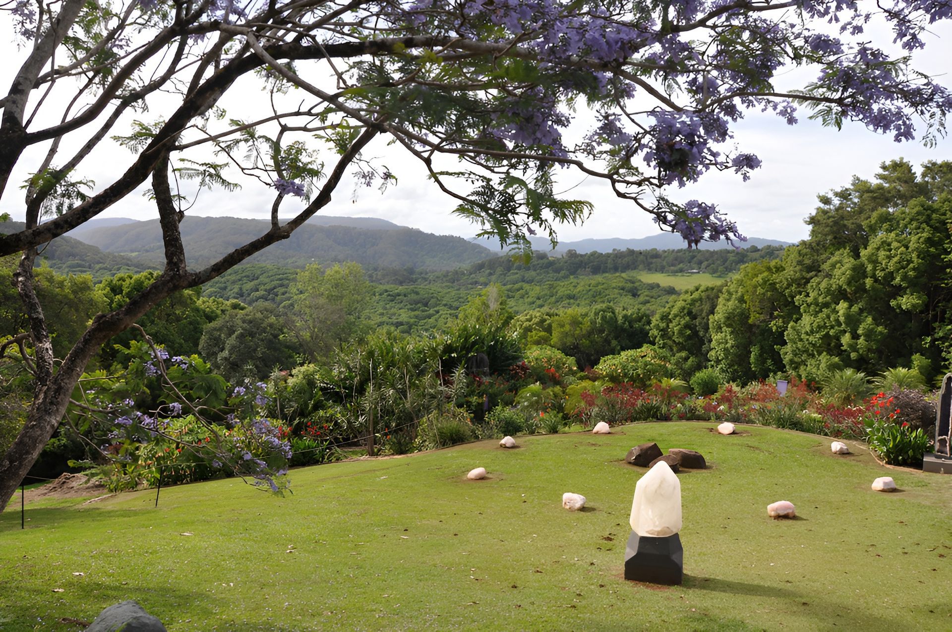 Lush Green Landscape with Flowering Trees — Dan's Removals In Mullumbimby, NSW