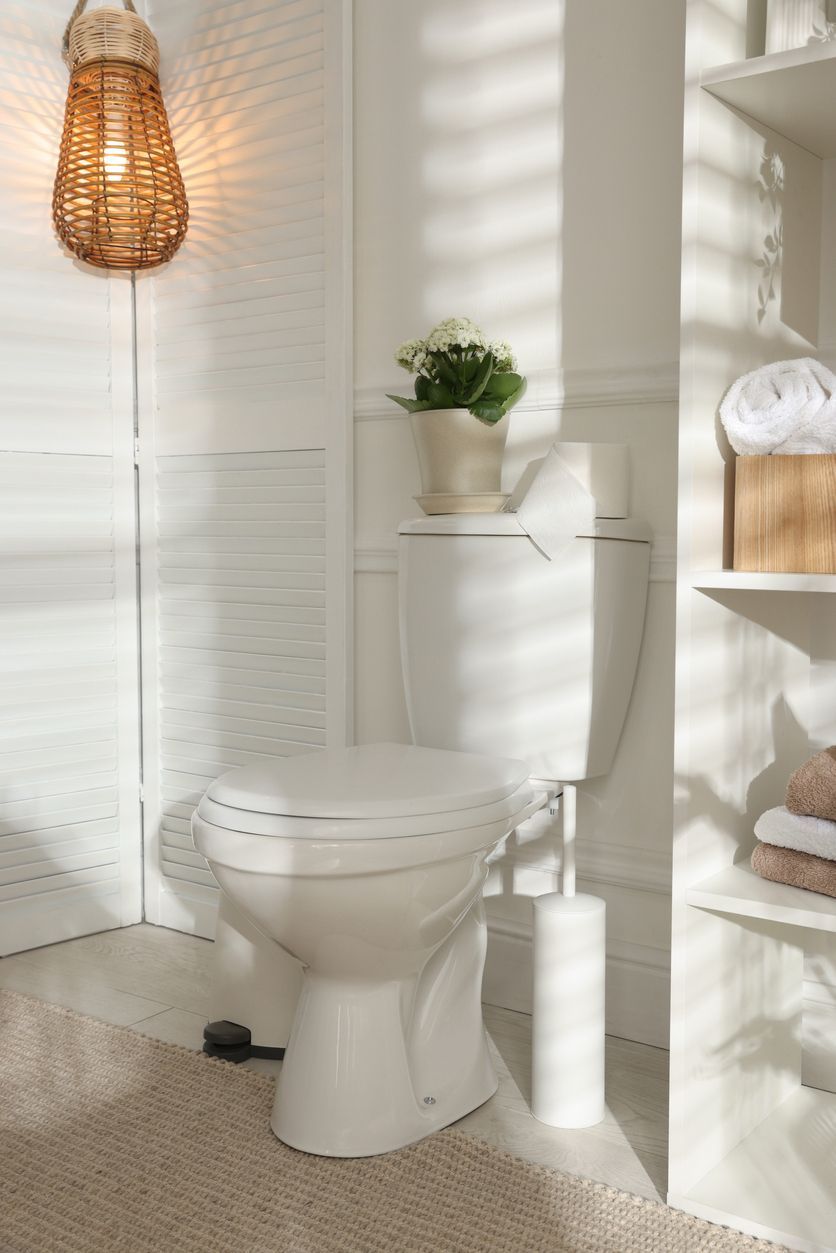 White bathroom with a toilet, woven pendant light, plant, and sunlight casting shadows on the wall.
