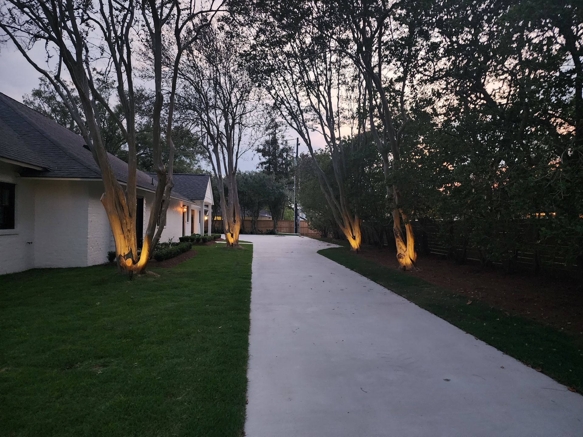 Landscape Lighting