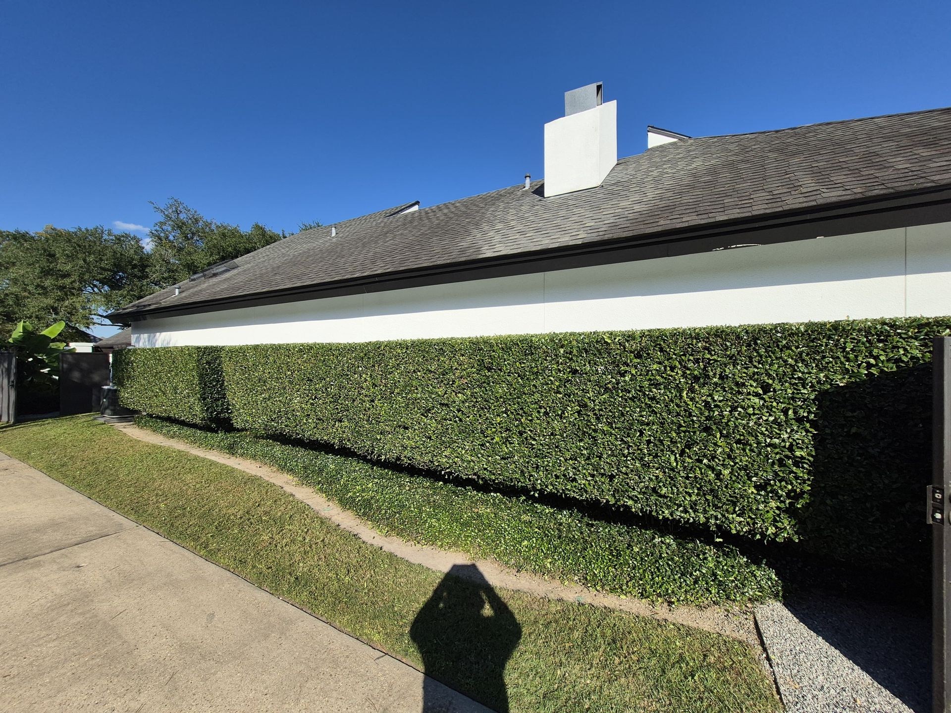 Residential New Landscaping