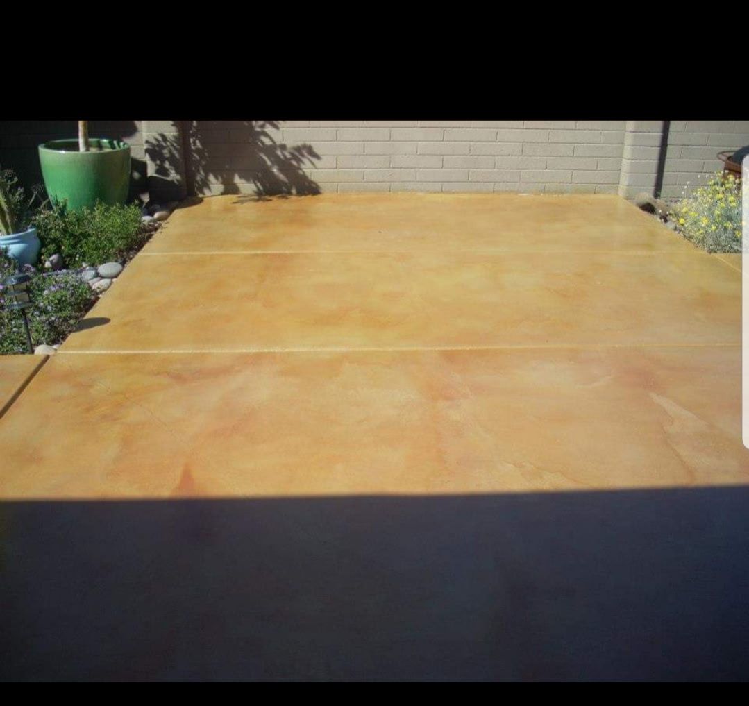 A concrete driveway with a few potted plants in the background.