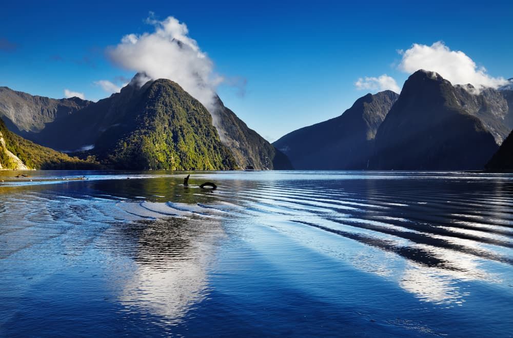 Fjord Milford Sound — Restore Your Ford Falcon in New Zealand