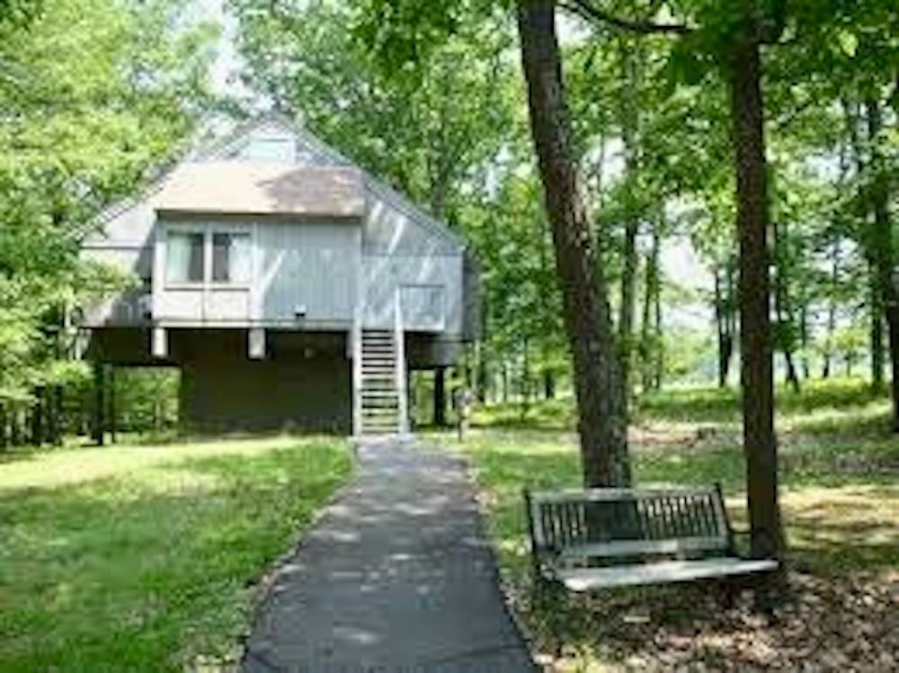A small house in the middle of a forest with a bench in front of it.