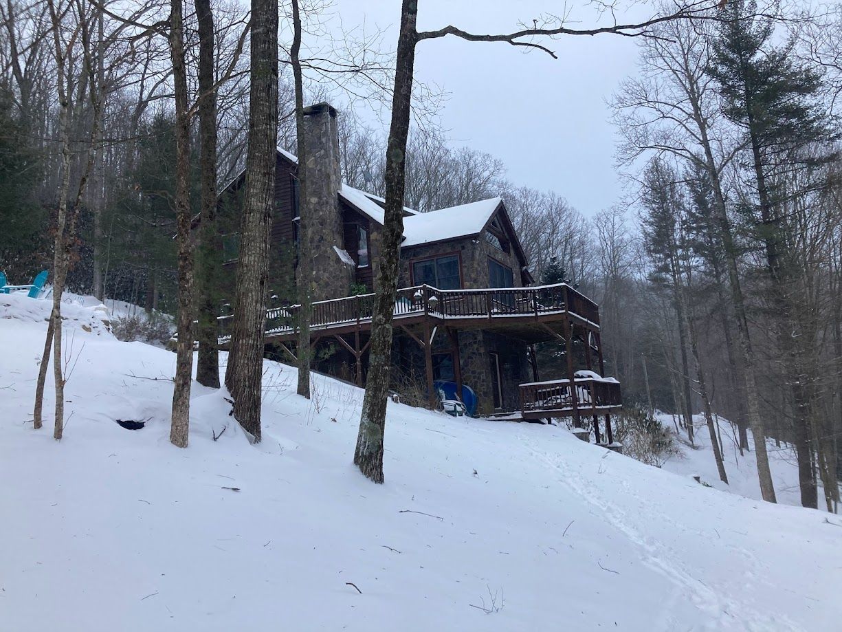 Snow-covered forest cabin on a hillside with trees in the foreground and a snowy path leading up to it