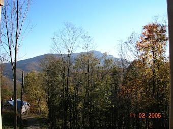 Mountain landscape with bare trees and autumn foliage under a clear blue sky