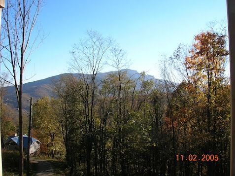 Autumn forest with bare trees and a mountain under a clear blue sky, date stamp in corner