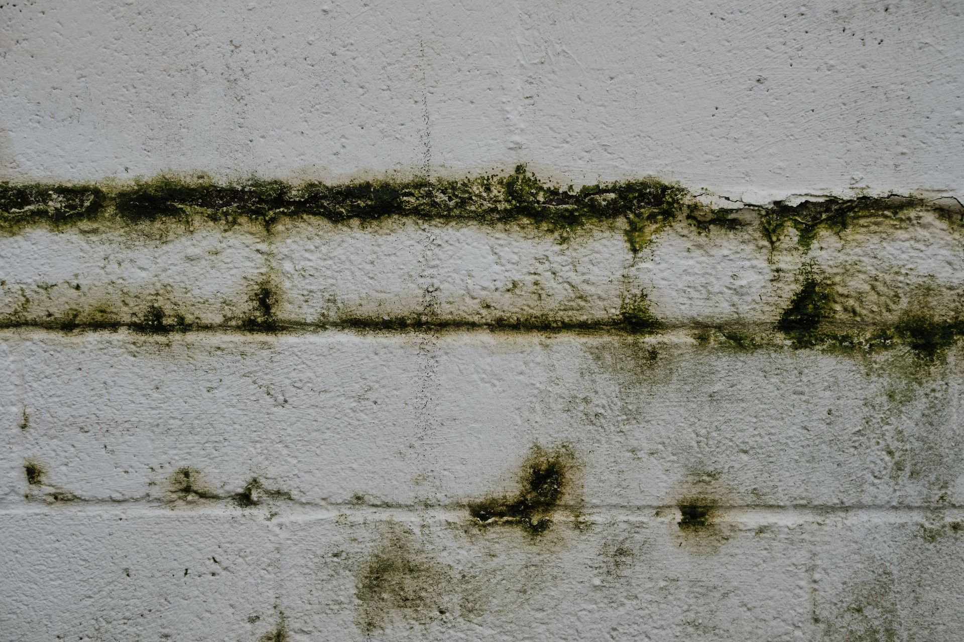 Wall with water damage and moisture stains requiring waterproofing repair