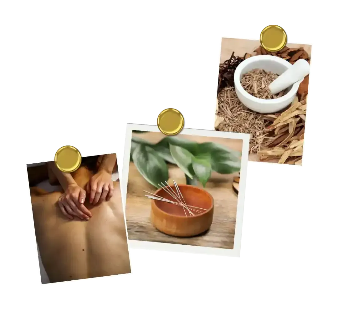 Traditional Chinese Medicine