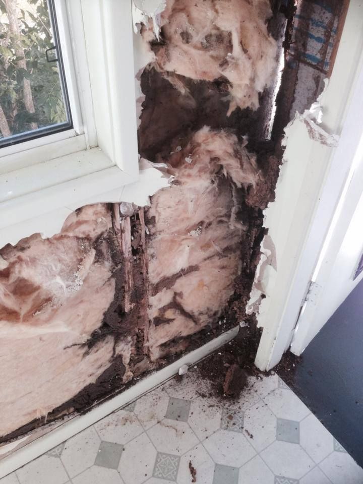 A Wall With A Hole In It And A Window In The Background — Thermal Imaging Pest Professionals In Raymond Terrace, NSW