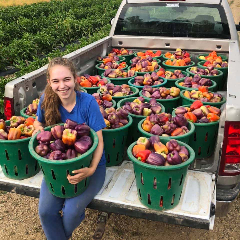 A woman is sitting in the back of a truck holding baskets of fruit