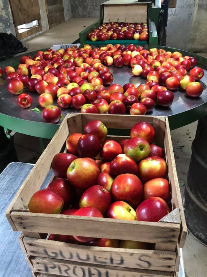 A wooden crate filled with apples sits next to a table full of apples