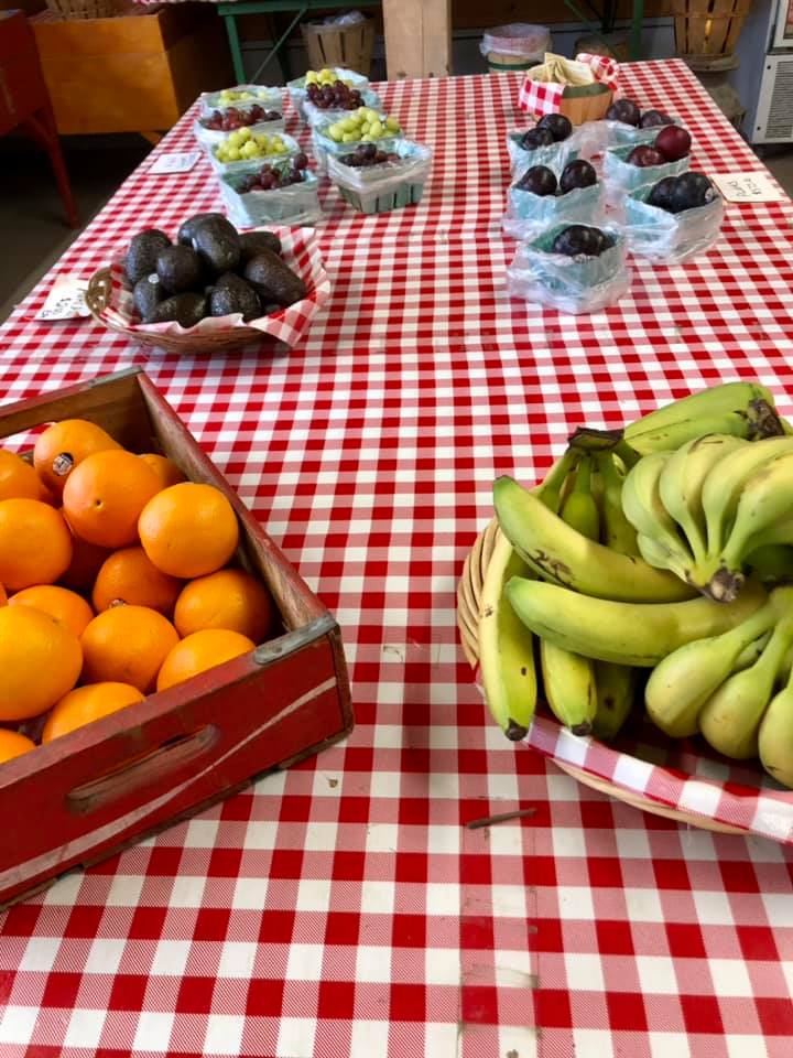 A table with a red and white checkered tablecloth and a basket of bananas and oranges.