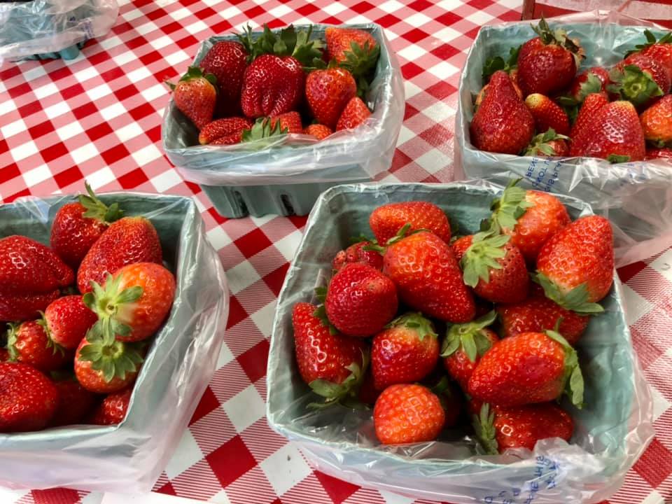 Four baskets of strawberries on a checkered table cloth