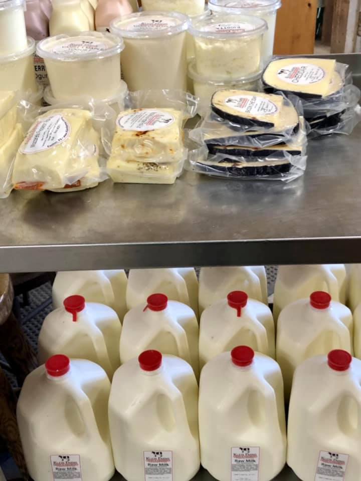 A shelf filled with gallons of milk and cheese.