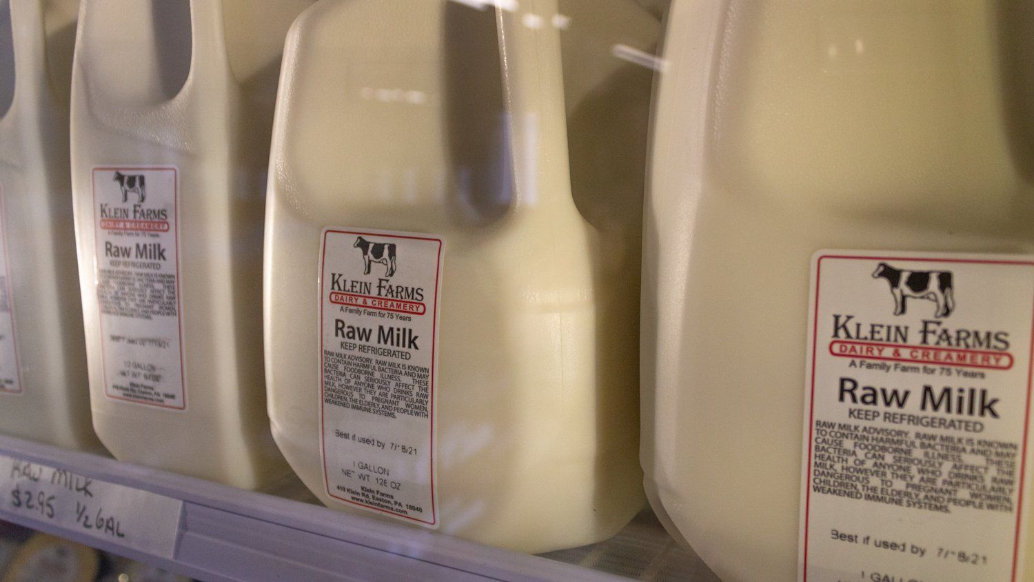 Three gallons of raw milk are lined up on a shelf.